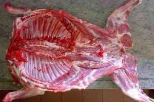 Condenaron a dos hombres y una mujer por un caso de abigeato en la zona rural de San Carlos