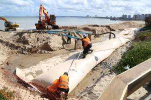 Intendencia invierte 450 mil dólares para la conservación de dunas 