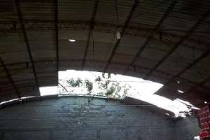 Temporal dejo árboles caídos, voladuras de techos y miles de clientes sin luz