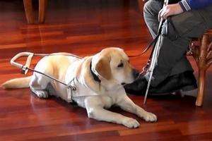 Caminata en Pan de Azúcar por el Día Mundial del Bastón Blanco