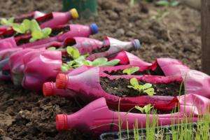 Huertas familiares: entrega de semillas alcanzó a unas 15 mil personas en Maldonado