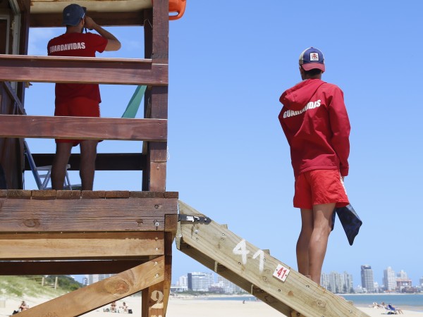 Convocatoria abierta...