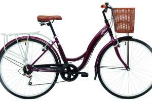 Robó una bicicleta y tendrá que cumplir nueve meses de cárcel