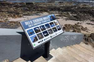 Proyecto escolar: primera zona señalizada en Punta del Este como Área de Sensibilidad Ambiental