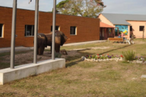 Accidente de alumna de Arrayanes genera incertidumbre