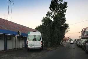 Un hombre resultó politraumatizado grave tras caer de un árbol en San Carlos