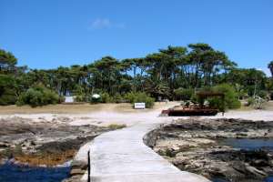 Capacitan sobre Isla Gorriti a patrones, capitanes y operadores de embarcaciones