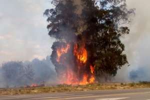 Bomberos incrementará los destacamentos temporales en Maldonado durante el verano