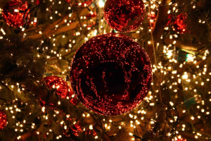 Comienzan los festejos navideños en Maldonado