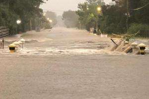 Línea 8 que cubre Punta del Este–Piriápolis no está operativa por las intensas lluvias