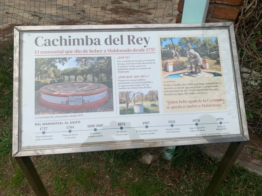 Lanzamiento de las a...