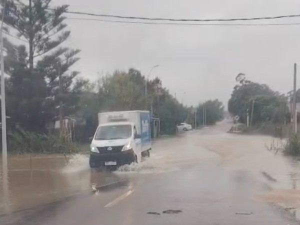 Maldonado no reporta...