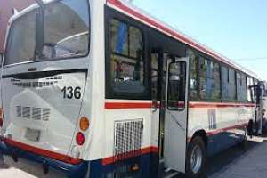 Empresas de transporte cumplen servicios especiales por fin de año