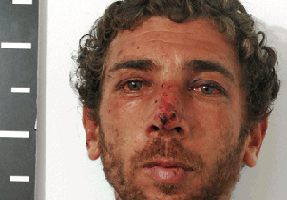 Robó en varios objetos en la barbacoa de una casa y fue condenado