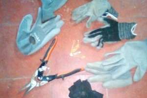 Condenaron a 22 meses de prisión a los cuatro chilenos que robaban viviendas en Piriápolis 