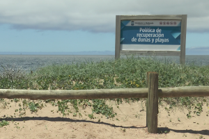 Preservación de dunas: colocan cercas captoras en Las Grutas y Piedras del Chileno