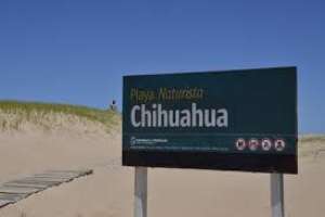 La policía investiga un intento de violación en la zona de Chihuahua