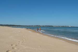 Intento de violación en Chihuahua: el denunciado tiene unos 50 años y conducía una camioneta roja