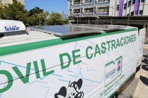 Castraciones caninas en el barrio San Francisco