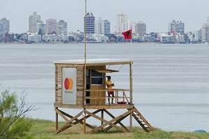 Cianobacterias: ingreso de corriente fría dispersa algas y se habilitan playas desde Solanas hasta José Ignacio