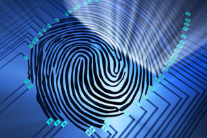 Aclararon hurto a ferretería: el autor estaba en la cárcel por otro delito