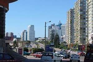 Inmobiliarias de Punta del Este: esta es una de las peores temporadas de los últimos tiempos