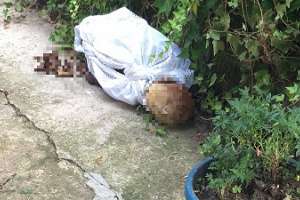 Internaron en el Vilardebó al hombre que dejó restos óseos en una casa de Aiguá