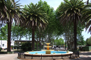 Rijo: la Policía no cuenta con recursos humanos suficientes para luchar contra el vandalismo 