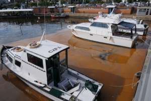 Molina: mancha en el Puerto de Punta del Este se generó por organismos que causan la “marea roja”