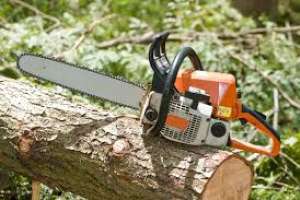 Medidas cautelares para dos sujetos que robaron leña en un predio rural de San Carlos