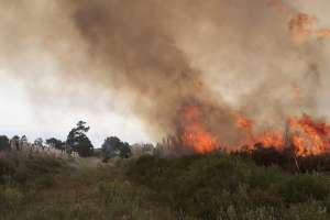 Bomberos extinguieron incendio de campo en Punta Negra