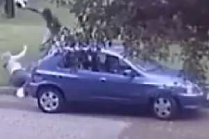 Heroica resistencia de una mujer y su hija para evitar ser rapiñadas