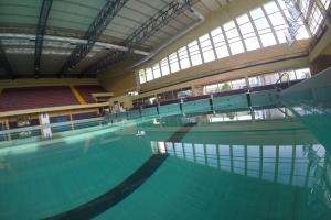 Actividades en piscina del Campus se retomarán el lunes 20