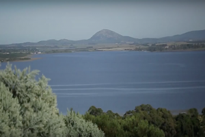 Extienden plazo para proyectos que preserven agua de la Laguna del Sauce