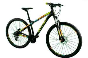 Robó una bicicleta pero fue detenido en un rápido operativo policial