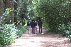 Se exhorta cuidar y respetar los senderos del Arboretum Lussich