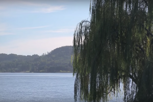 Laguna del Sauce: presentaron 34 propuestas para mejorar la calidad del agua