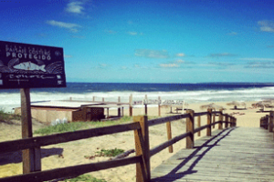 Parlamento aprobó norma que define desarrollo sostenible y regula actividades en faja costera 