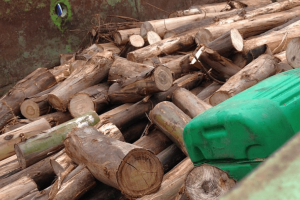 Formalizaron a los dos hombres que encontraron cortando leña en un predio privado 