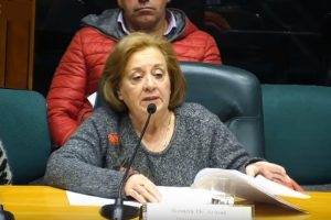 Edila de Armas reclama soluciones ante inundación en una zona de Solanas