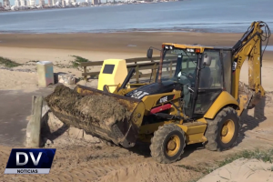 Camalotes y arena: siguen los trabajos de limpieza en la costa y en la rambla