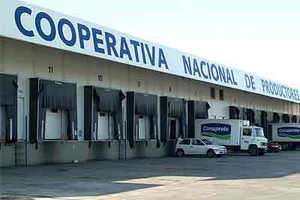 Asamblea de Conaprole confirma que se va a cerrar la planta industrial de San Carlos