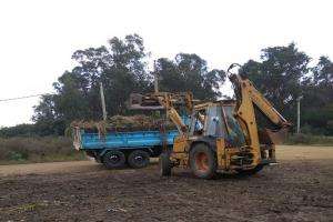 Se desarrollan tareas de limpieza en Punta Negra y alrededores