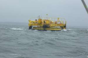 Boya petrolera de José Ignacio: realizan maniobra para que quede operativa al 100%