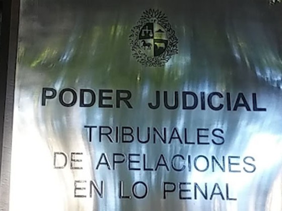 Ampliaron a cinco años efectivos condena de conductor que mató a dos adolescentes en la ruta 39