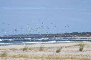 Se inició Plan de Ordenamiento Territorial y Desarrollo Sostenible de la región Piriápolis- Solís Grande