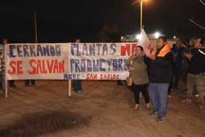 Ambrois con Aplema: cierre de la planta de Conaprole en San Carlos fue muy estudiado y meditado