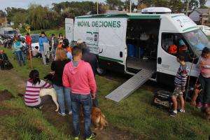 Habrá castraciones caninas en el barrio Las Cooperativas