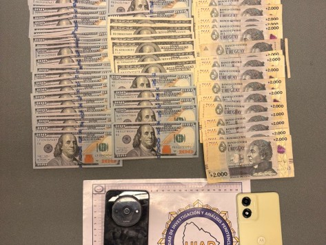 Desarticularon red d...