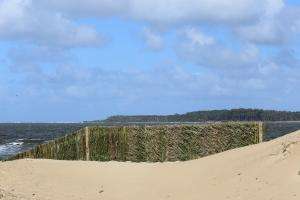 Ya instalaron miles de metros de cercas captoras para recuperar el litoral costero marítimo